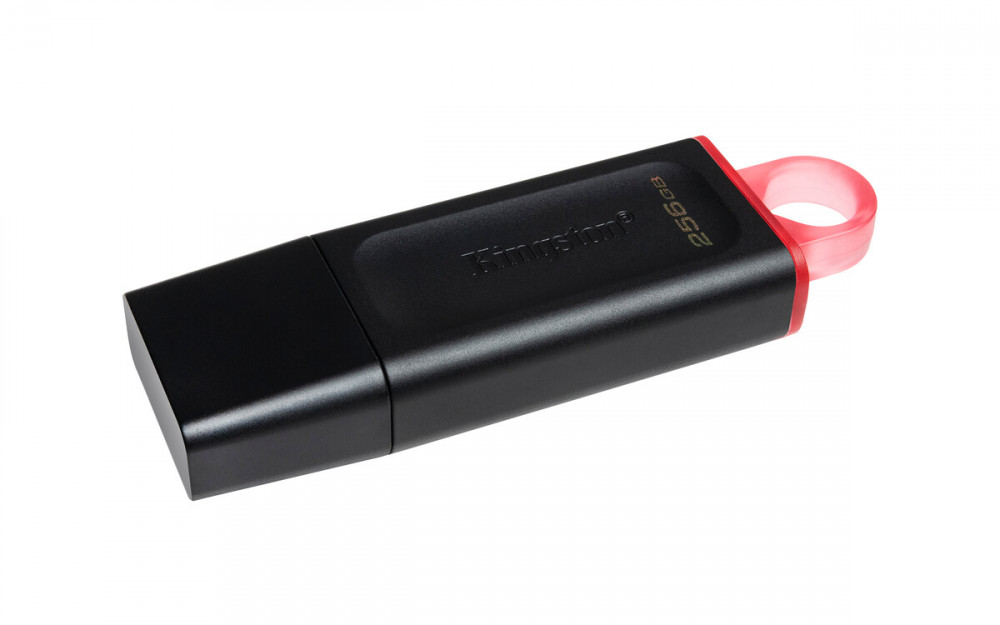 Kingston DataTraveler Exodia 256GB USB 3.2 Gen 1 Flash Drive (DTX/256GBCR)