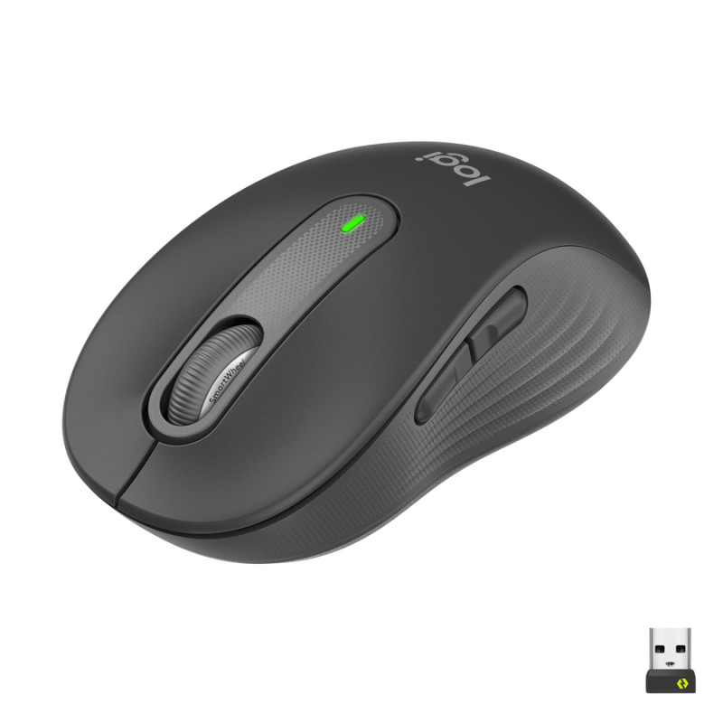 Logitech Signature M650 Wireless Mouse - Graphite (910-006250)