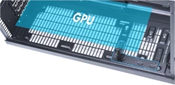 13.webp