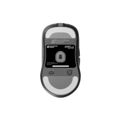 11.webp