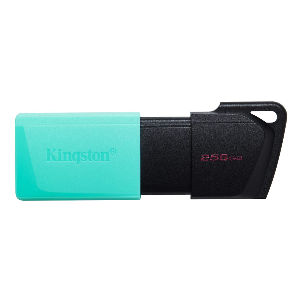 Kingston DataTraveler Exodia M 256GB USB 3.2 Gen 1 Flash Drive (DTXM/256GB)