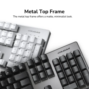 13.webp