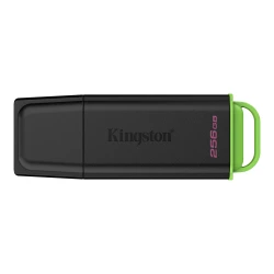 Kingston DataTraveler Exodia 256GB USB 3.2 Gen 1 Flash Drive (DTXG2/256GB)