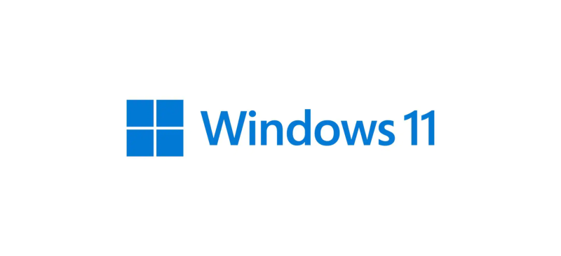 Microsoft Windows 11 Pro 64bit - OEM - License Only - English